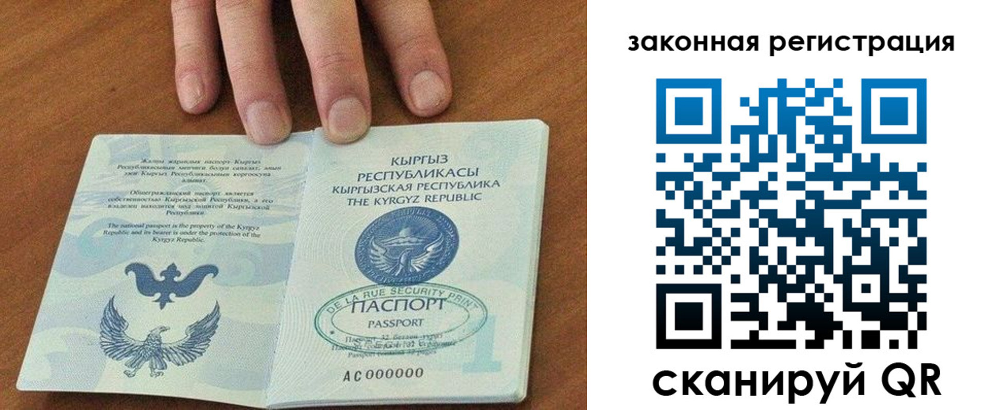 прописка гарантия в Михайлове